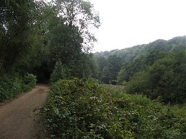 Path from Sheephouse Lane